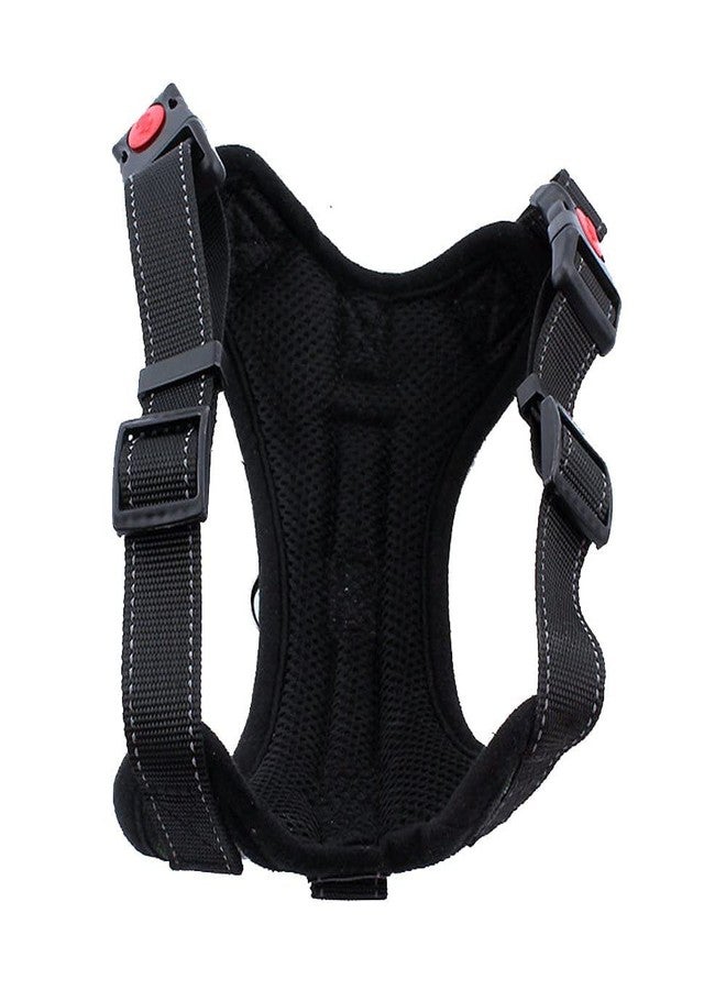 KittuPet Dog Harness, Adjustable Dog Body Belt for Large Small Medium Dogs and cat Rabbit All Breeds Animal (Medium, Black) - Image 2